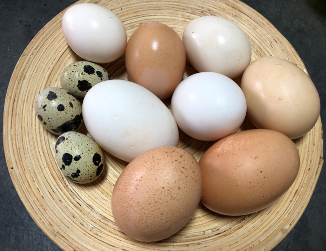 different kinds of eggs in a basket