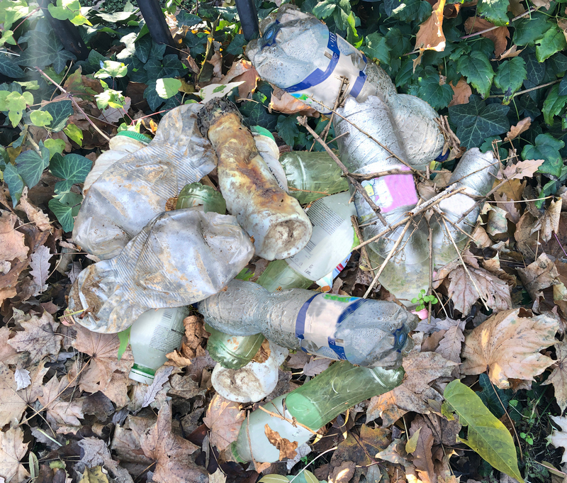 most common types of trash, plastic bottles pile in nature