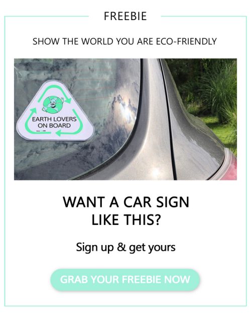 Signup Earth Car Sign